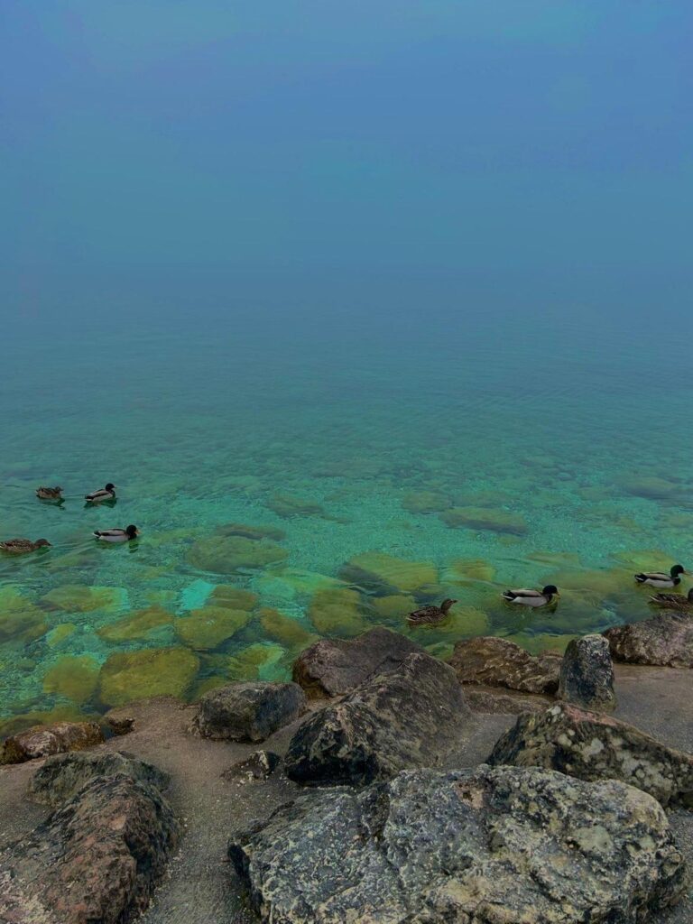 🇮🇹🇫🇷🇪🇺Groupe Europe : mobilité Erasmus+ à Salò 5 Simione