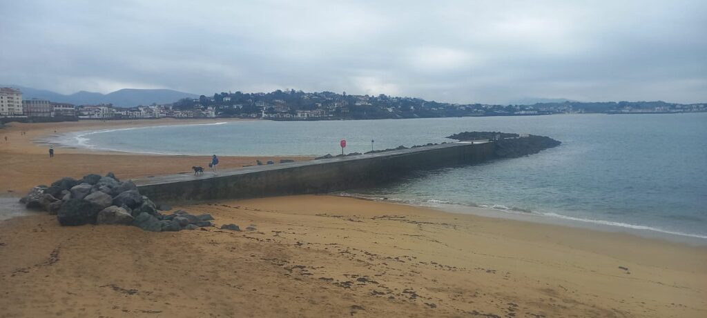 148a7578 a2cf 4a93 ad26 266b09ff842c