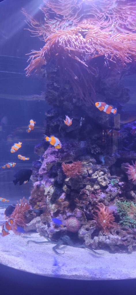 1dca2311 57df 4582 a972 8ca2706be3f5