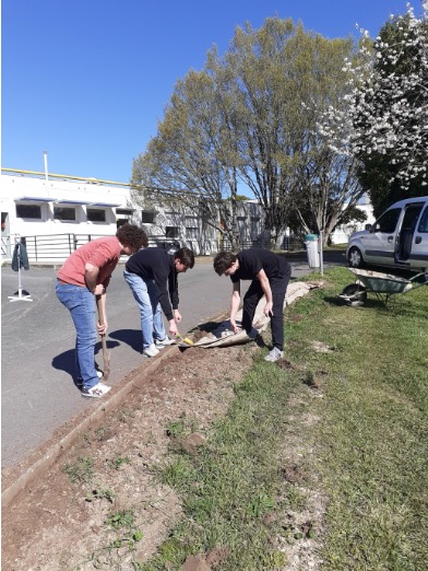 Les éco-délégués créent des espaces de repos végétalisés