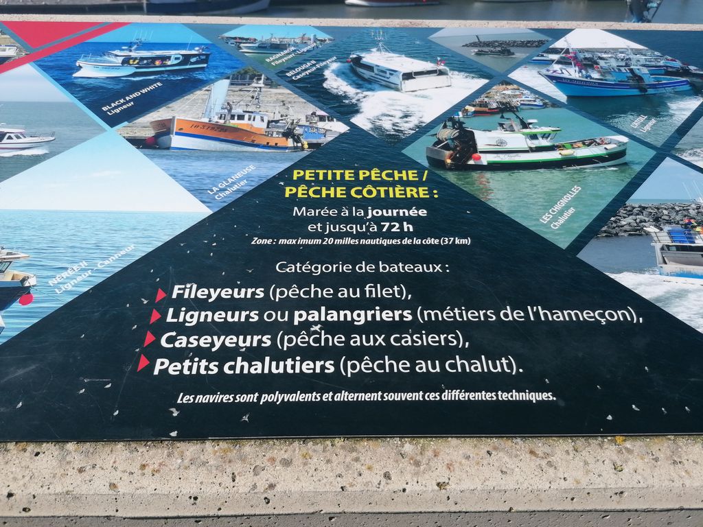 🇪🇺🇫🇷🇮🇹🇵🇹 Erasmus+ LGT : semaine multinationale 16 IMG 20260318 142910 1K JPEG