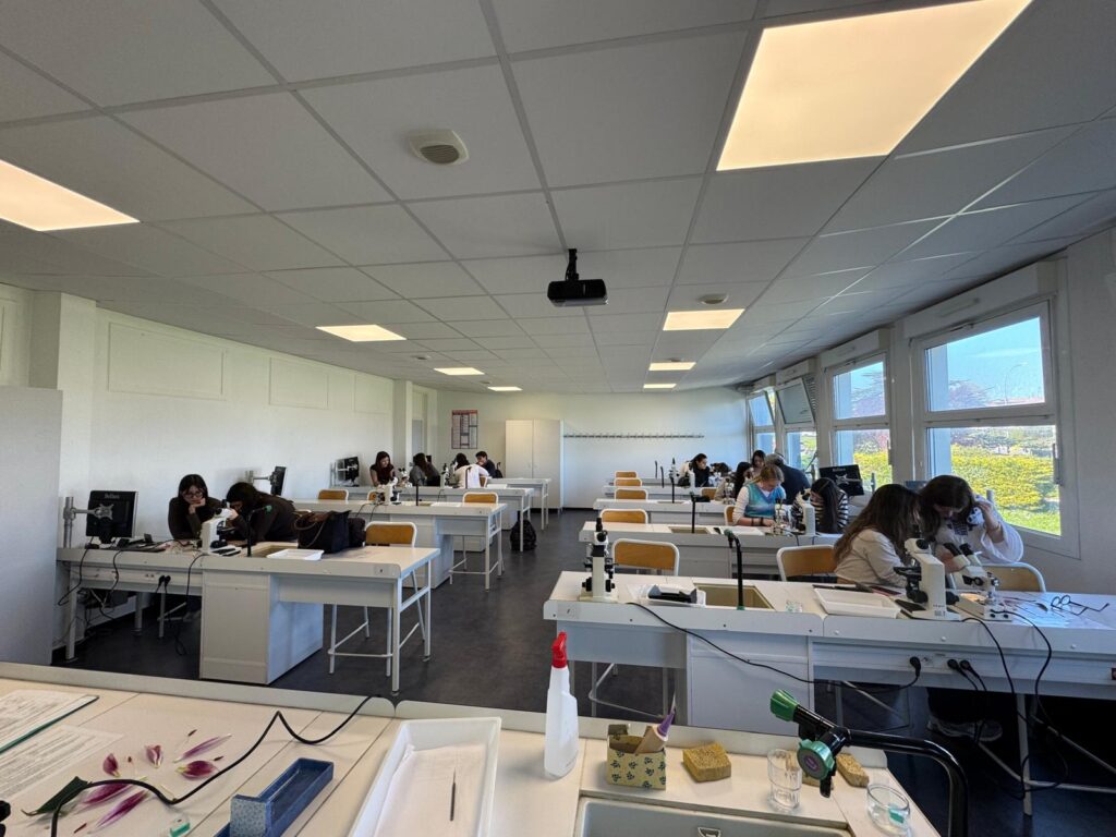 🇪🇺🇫🇷🇮🇹🇵🇹 Erasmus+ LGT : semaine multinationale 33 SN 1