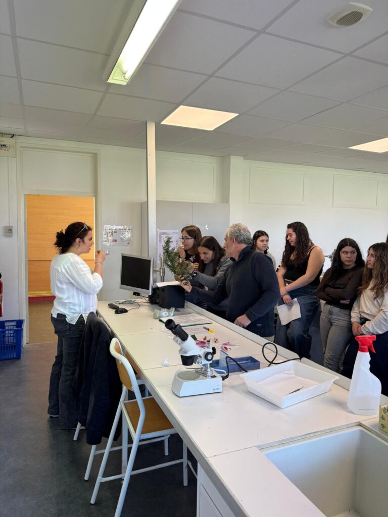 🇪🇺🇫🇷🇮🇹🇵🇹 Erasmus+ LGT : semaine multinationale 34 SN2 1