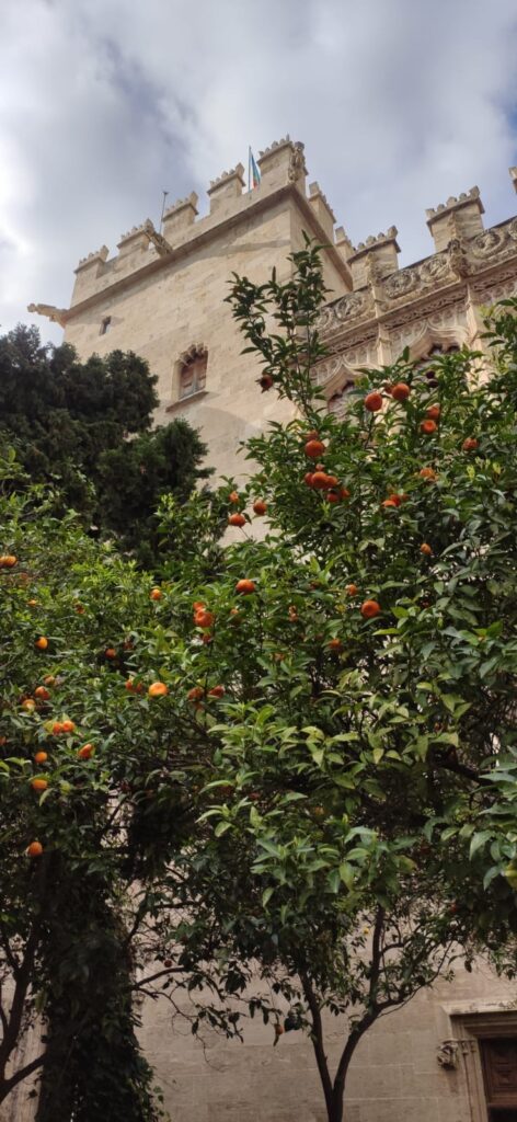 b9962d4a b401 4bed a638 bf1c3db273db