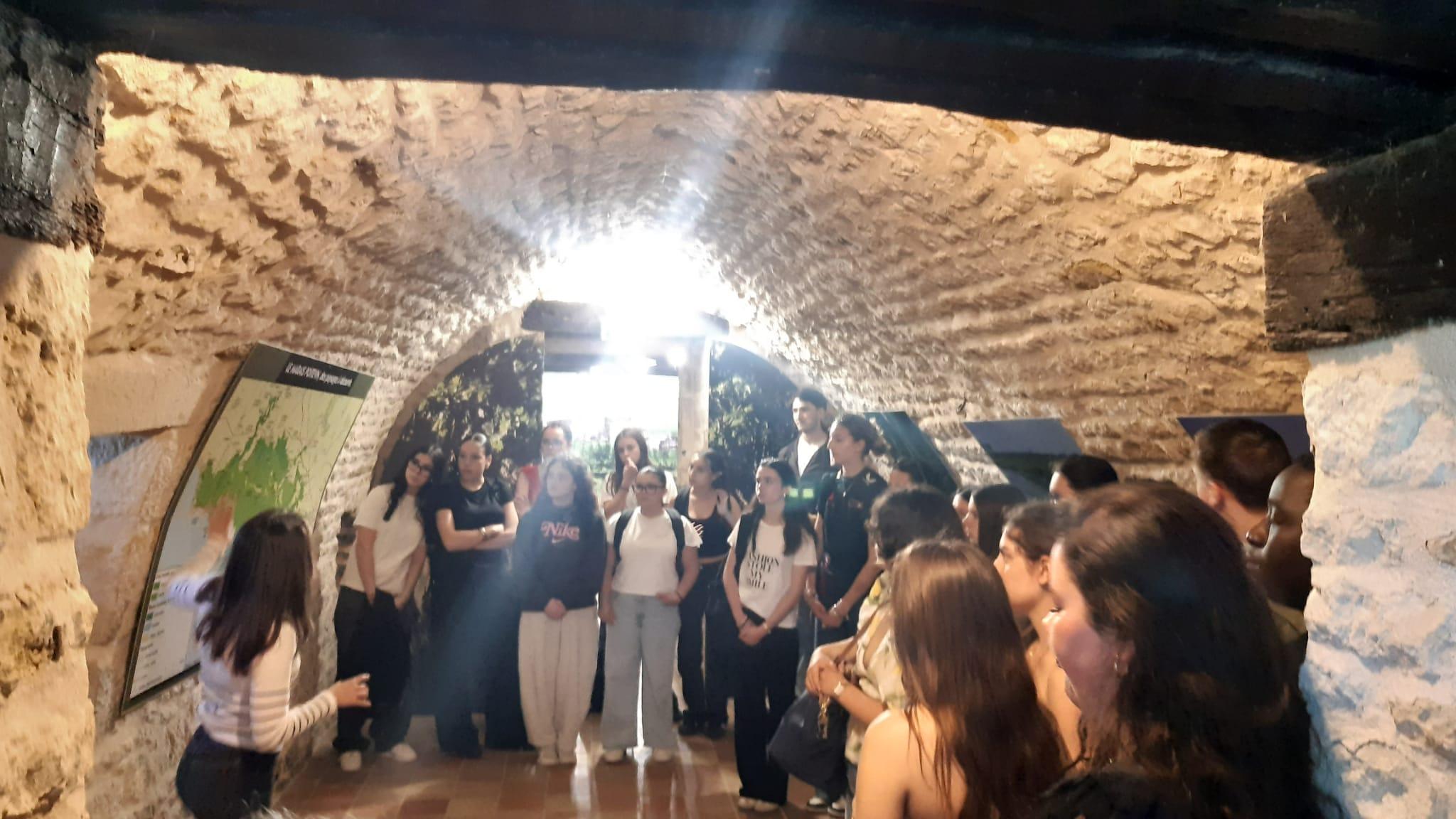 Les éco-délégués et la classe de 2GT3 ont visité le Parc naturel régional du Marais poitevin.