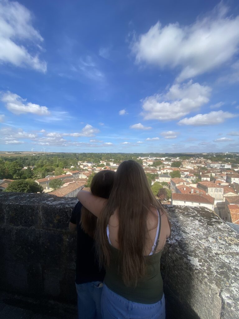 IMG 2190